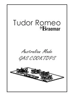 Braemar Tudor Romeo User Manual предпросмотр