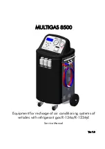 BrainBee multigas 8500 Service Manual preview