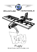 BrainCube Aeromodels Fugly Manual preview