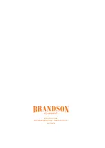 Preview for 32 page of Brandson Equipment 304522/20200417SZ273 User Manual