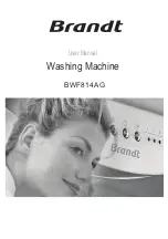 Brandt BWF814AG User Manual preview