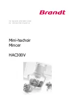 Brandt HAC300V Instruction Manual preview