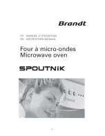 Brandt SPOUTNiK Instruction Manual preview