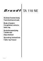 Brandt TA 110 NE Operating Instructions Manual предпросмотр