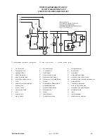 Предварительный просмотр 45 страницы Brasilia Maxi America Instruction Manual