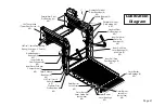 Preview for 43 page of Braun Millennium NL-2 Series Operator'S Manual