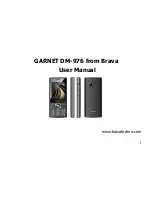 Brava GARNET DM-976 User Manual предпросмотр