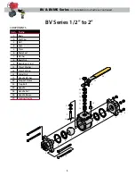 Предварительный просмотр 5 страницы Bray Controls BV Series Installation Instructions Manual