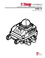 Bray 6P Series Operation And Maintenance Manual preview