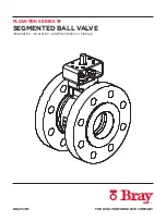 Bray FLOW-TEK 19 Series Installation, Operation And Maintenance Manual предпросмотр