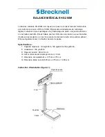 Preview for 7 page of Brecknell HS-200M Installation Instructions Manual