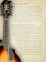 Preview for 16 page of Breedlove American Series C25/CRe Herringbone Owner'S Manual