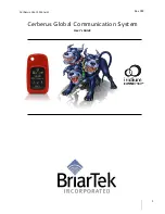 BriarTek Cerberus User Manual preview