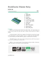 Предварительный просмотр 1 страницы BrickElectric BEM106 User Manual