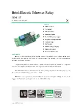 BrickElectric BEM107 Manual preview