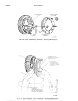 Предварительный просмотр 149 страницы Bricklin SV-1 1975 Service Manual Supplement