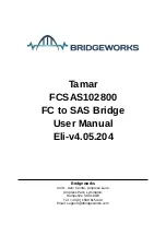 Bridgeworks Tamar FCSAS102800 User Manual preview