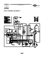 Предварительный просмотр 23 страницы Briggs & Stratton 01679-0 Owner'S Manual