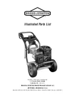 Briggs & Stratton 020274-02 Illustrated Parts List предпросмотр