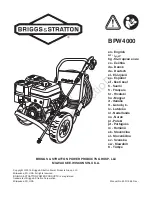 Briggs & Stratton 020596 Manual предпросмотр