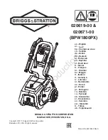 Briggs & Stratton 020619-00 Manual preview