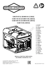 Preview for 1 page of Briggs & Stratton 030670-00 Manual