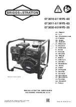 Briggs & Stratton 073010-01 Manual предпросмотр