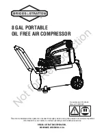 Briggs & Stratton 074025-00 Manual preview