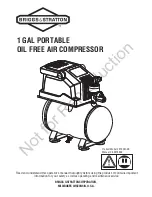 Briggs & Stratton 074061-00 Manual preview