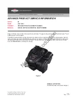 Briggs & Stratton 09P600 Service Information preview