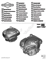 Briggs & Stratton 100800 Operator'S Manual preview