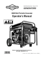 Briggs & Stratton 203985GS Operator'S Manual preview