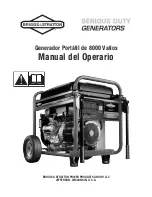 Preview for 29 page of Briggs & Stratton 203985GS Operator'S Manual