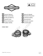 Briggs & Stratton 210000 Series Operator'S Manual preview