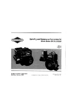 Preview for 1 page of Briggs & Stratton 272484 Operating And Maintenance Instructions Manual