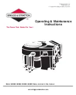 Briggs & Stratton 290000 Series Operating & Maintenance Instruction Manual preview