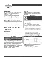 Preview for 6 page of Briggs & Stratton 30252 Operator'S Manual