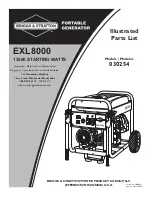 Briggs & Stratton 30254 Illustrated Parts List preview