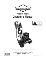 Briggs & Stratton 317455GS Operator'S Manual предпросмотр