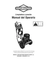 Предварительный просмотр 29 страницы Briggs & Stratton 317455GS Operator'S Manual