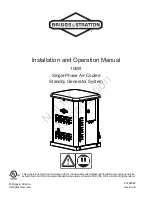 Briggs & Stratton 6404 Installation And Operation Manual preview