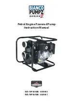 Briggs & Stratton 804450 Instruction Manual preview