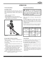 Preview for 17 page of Briggs & Stratton BP33-W Operator'S Manual