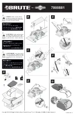 Briggs & Stratton Brute 7800881 Manual preview