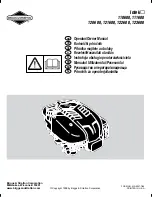 Preview for 1 page of Briggs & Stratton Intek 110600 Operator Owner'S Manual