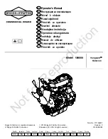 Briggs & Stratton Vanguard 580000 Operator'S Manual preview