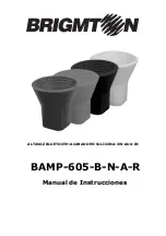 Предварительный просмотр 1 страницы Brigmton BAMP-605-A Instruction Manual