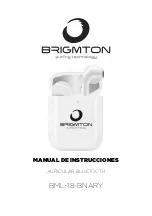 Brigmton BML-18-BNARY Instruction Manual предпросмотр