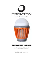 Preview for 6 page of Brigmton BMQ-10-N-V Instruction Manual