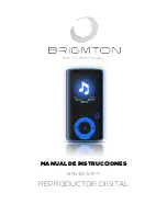 Brigmton BPA-81-A-R-Y Instruction Manual предпросмотр